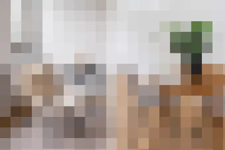 Beeklaan 87 A Den Haag thumbnail 7