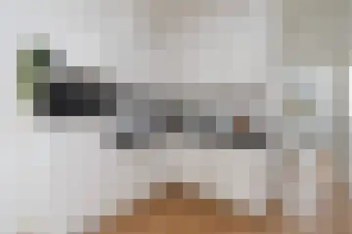 Beeklaan 87 A Den Haag thumbnail 9