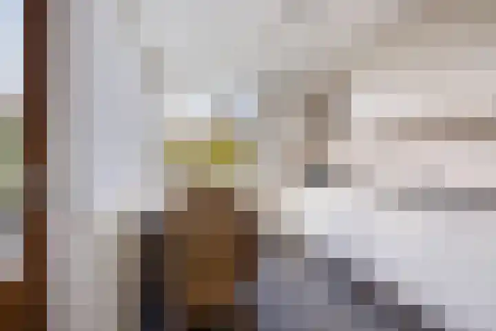 Beeklaan 97 Tilburg thumbnail 13