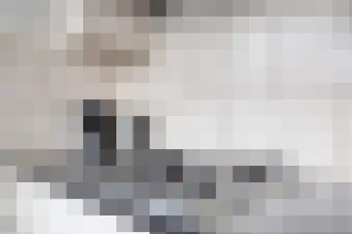 Beeklaan 97 Tilburg thumbnail 18