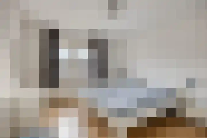 Beeklaan 97 Tilburg thumbnail 22