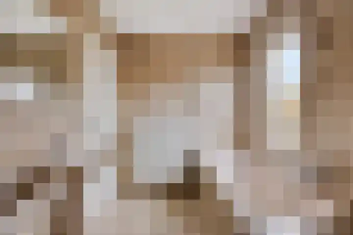 Beeklaan 97 Tilburg thumbnail 27