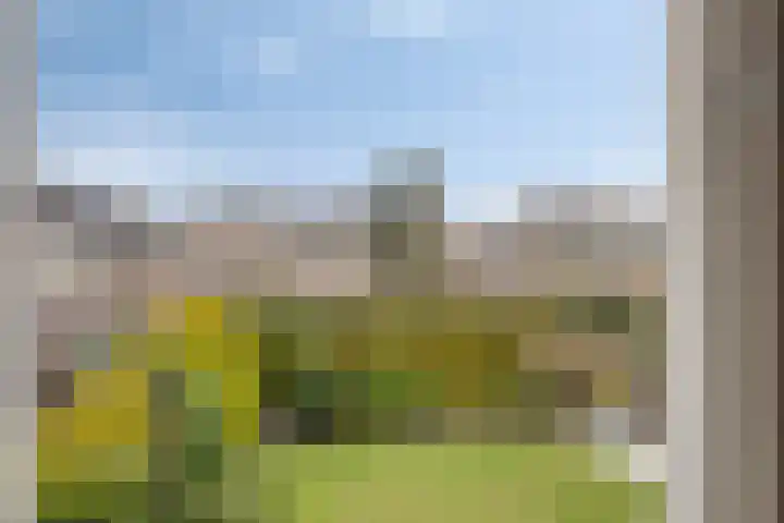Beeklaan 97 Tilburg thumbnail 34