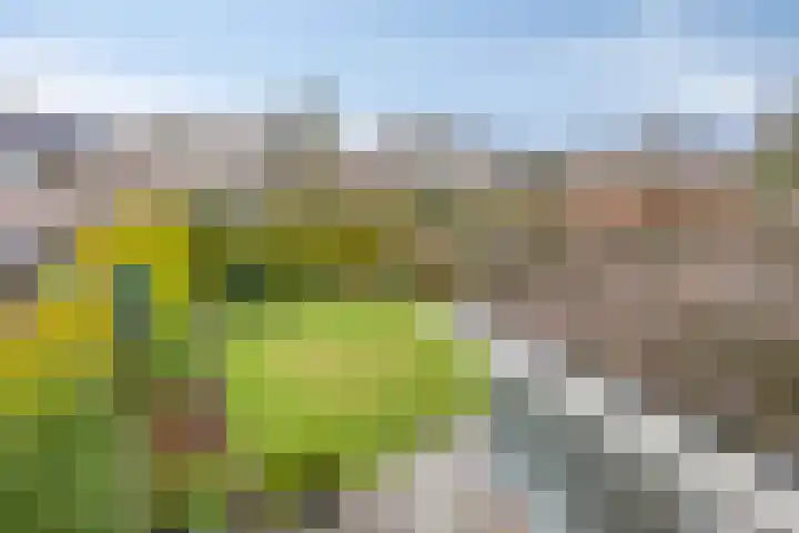 Beeklaan 97 Tilburg thumbnail 35