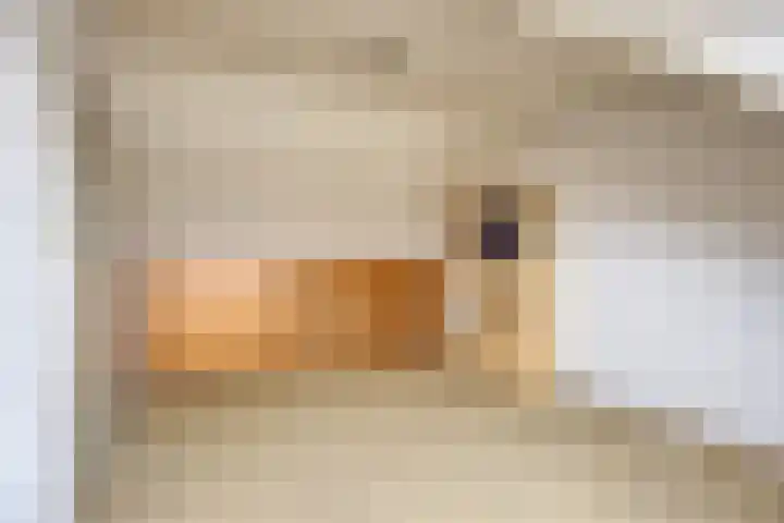 Beeklaan 97 Tilburg thumbnail 39