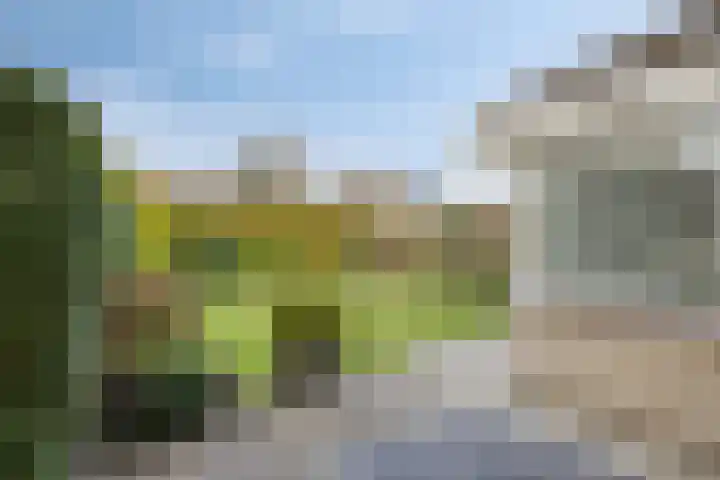 Beeklaan 97 Tilburg thumbnail 40