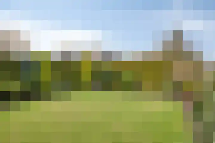 Beeklaan 97 Tilburg thumbnail 44