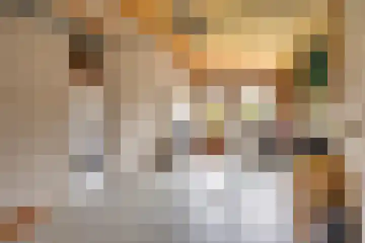 Beeklaan 97 Tilburg thumbnail 45