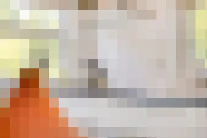 Beekland 9 Roden thumbnail 22