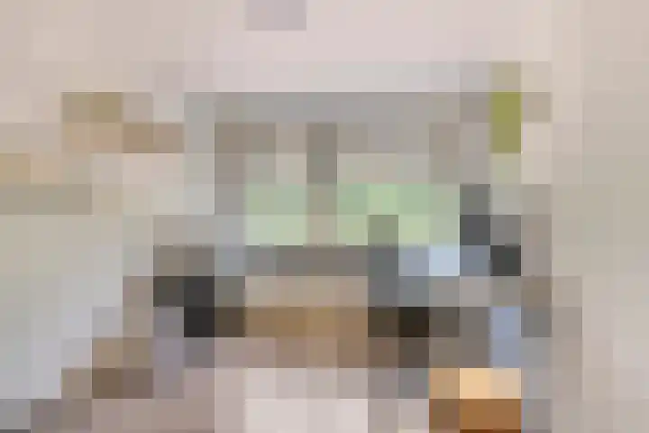 Beekland 9 Roden thumbnail 24