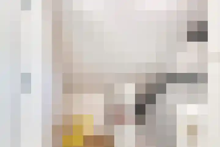 Beekland 9 Roden thumbnail 34