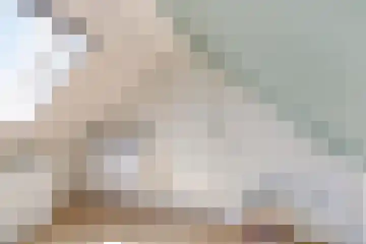 Beekland 9 Roden thumbnail 36