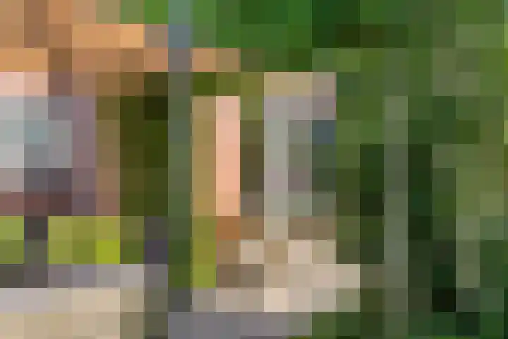 Beekland 9 Roden thumbnail 45
