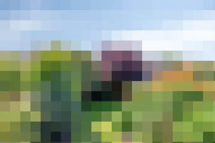 Beekland 9 Roden thumbnail 48