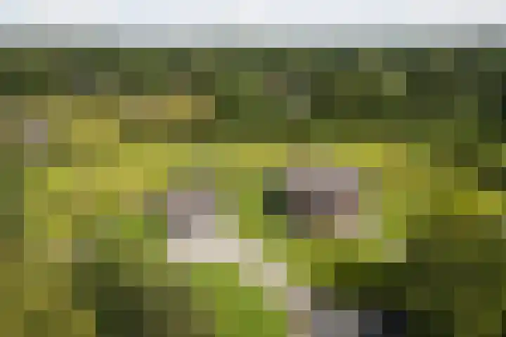 Beeklandseweg 14 Heerde thumbnail 4