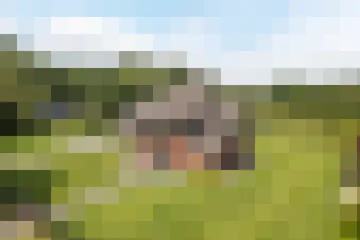 Beeklandseweg 14 Heerde thumbnail 6
