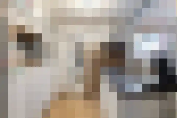 Beeklustlaan 14 Almelo thumbnail 10