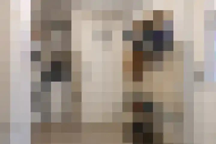Beeklustlaan 14 Almelo thumbnail 11