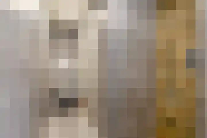 Beeklustlaan 14 Almelo thumbnail 17
