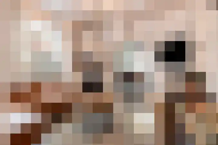 Beeklustlaan 14 Almelo thumbnail 4