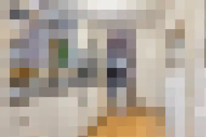 Beeklustlaan 14 Almelo thumbnail 9
