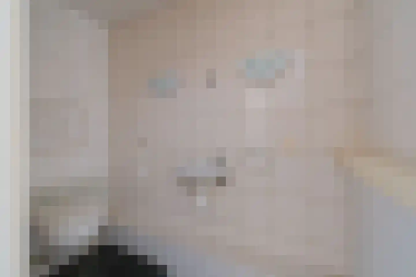 Beeklustlaan 23 a Almelo thumbnail 30