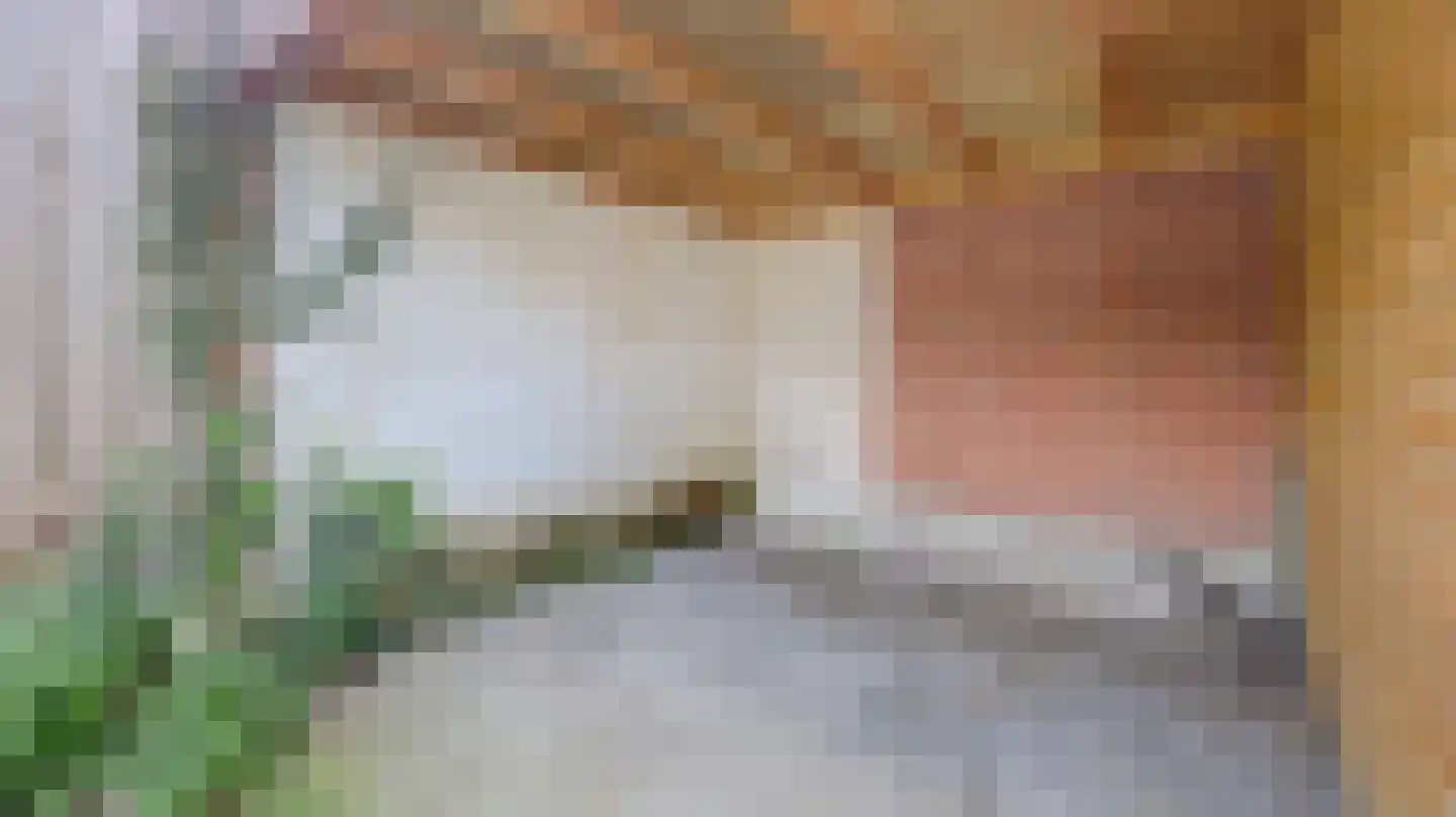 Beeklustlaan 32 Almelo thumbnail 14