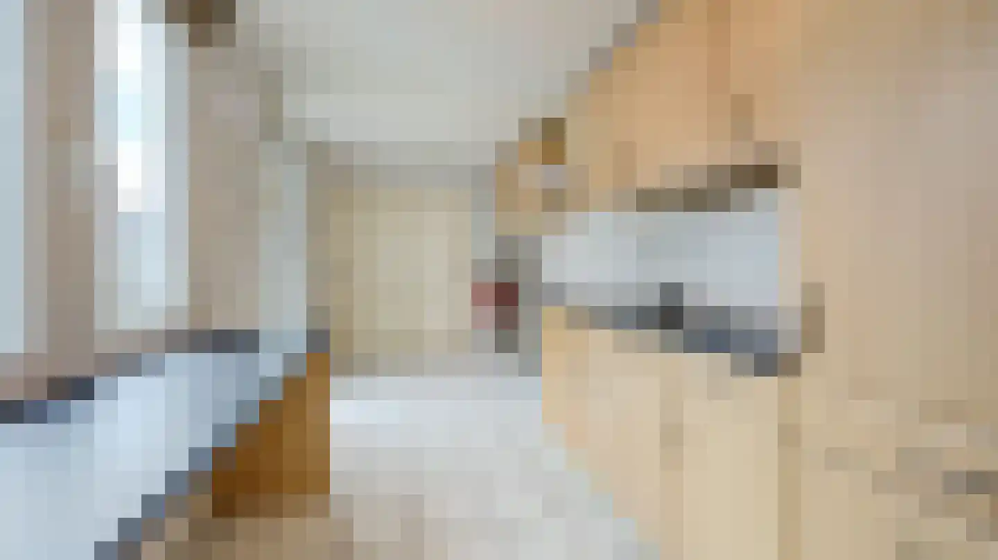 Beeklustlaan 32 Almelo thumbnail 5