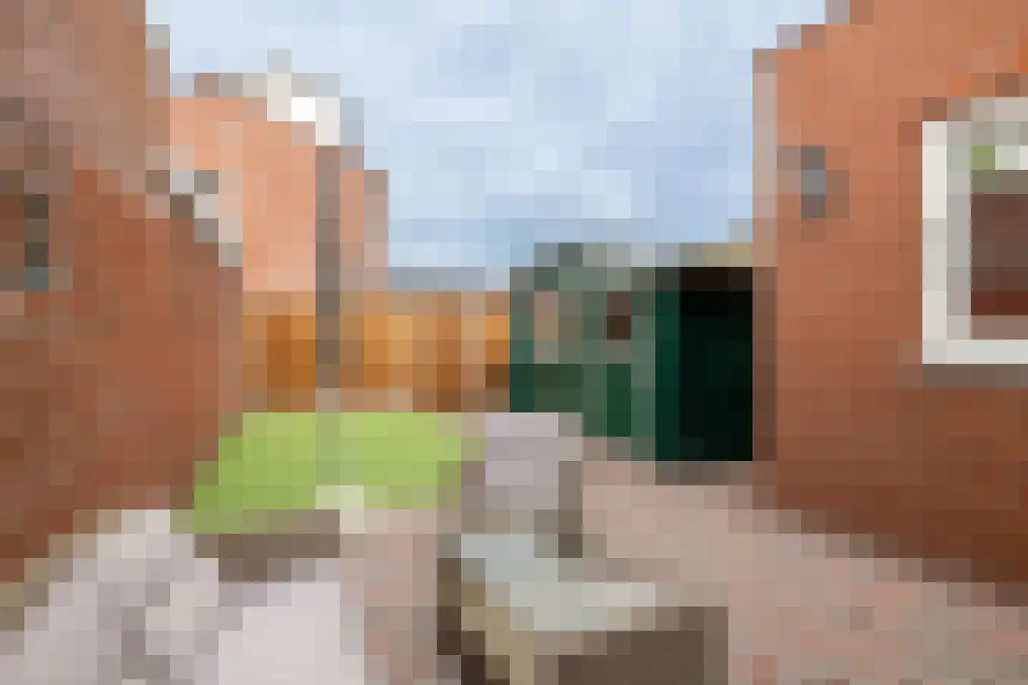 Beeklustlaan 4 Almelo thumbnail 18
