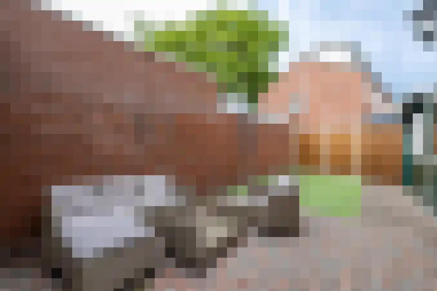 Beeklustlaan 4 Almelo thumbnail 19