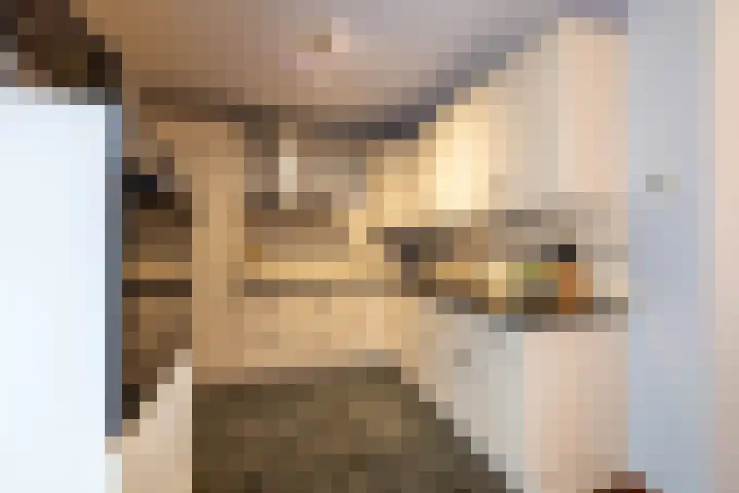 Beeklustlaan 4 Almelo thumbnail 7
