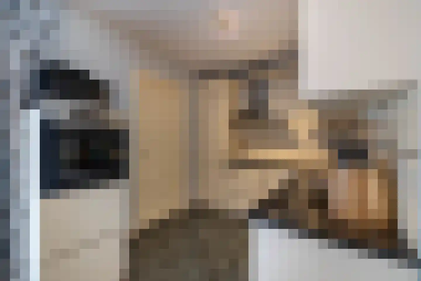 Beeklustlaan 4 Almelo thumbnail 8