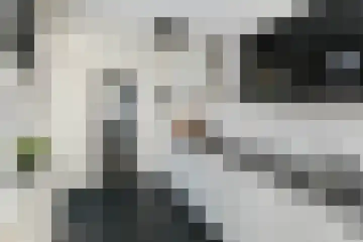 Beeklustlaan 40 Almelo thumbnail 11