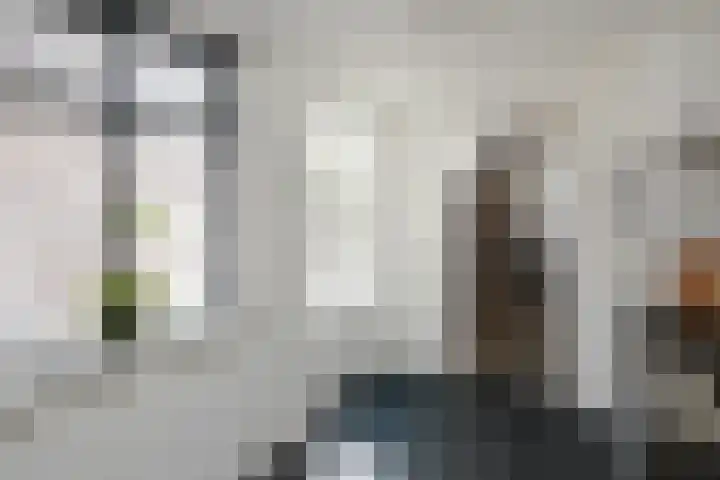 Beeklustlaan 40 Almelo thumbnail 12