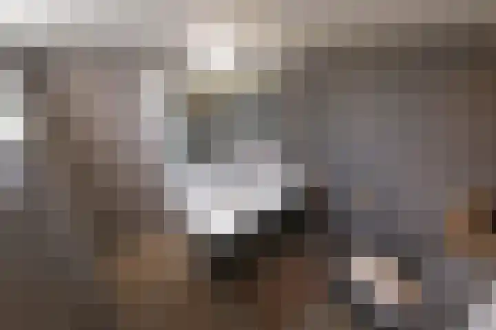Beeklustlaan 40 Almelo thumbnail 14