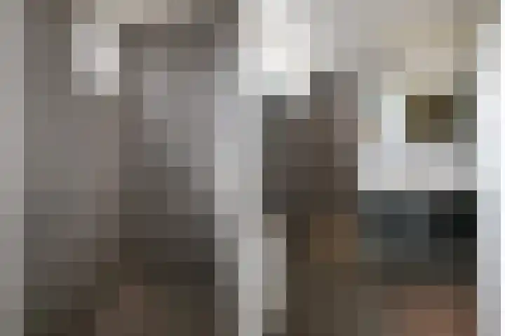 Beeklustlaan 40 Almelo thumbnail 16