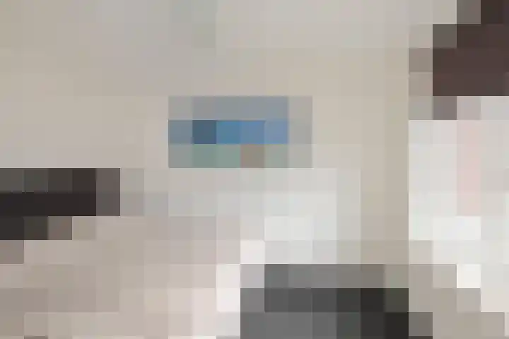 Beeklustlaan 40 Almelo thumbnail 18