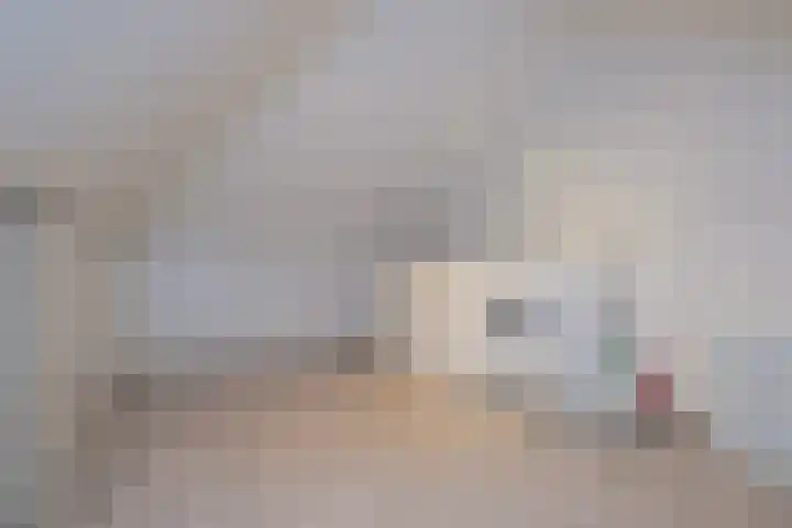 Beeklustlaan 40 Almelo thumbnail 24