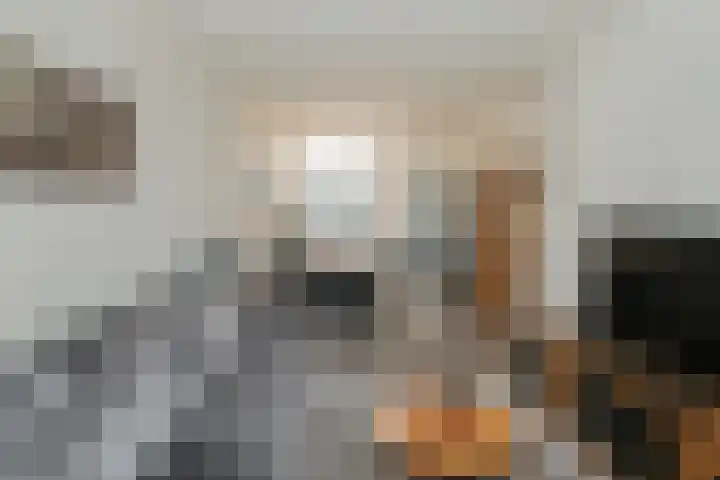 Beeklustlaan 40 Almelo thumbnail 7