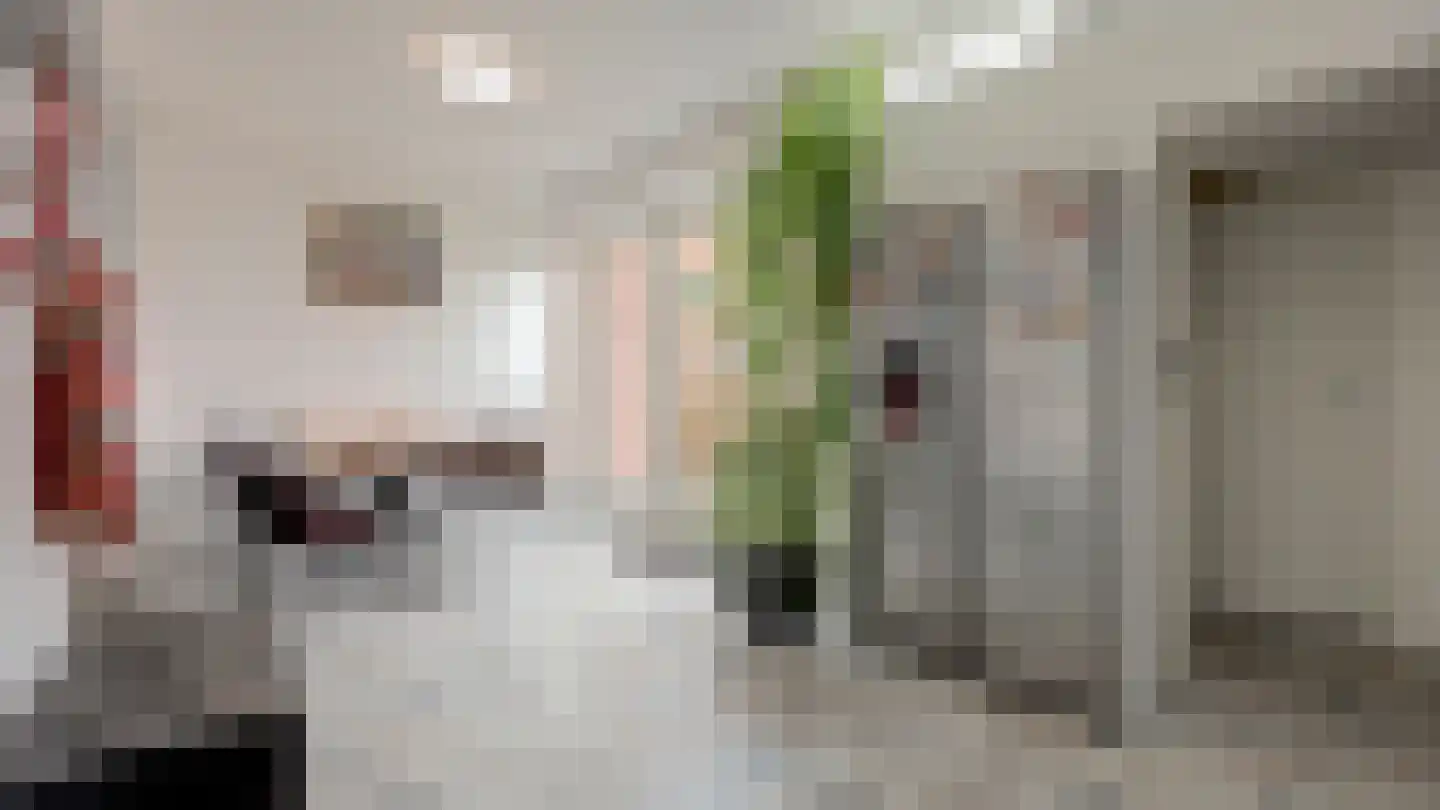 Beeklustlaan 6 Almelo thumbnail 10