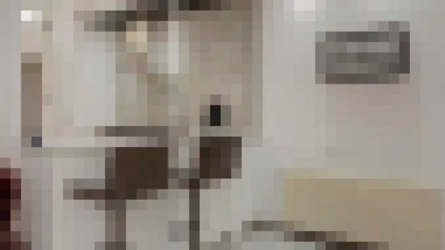 Beeklustlaan 6 Almelo thumbnail 14