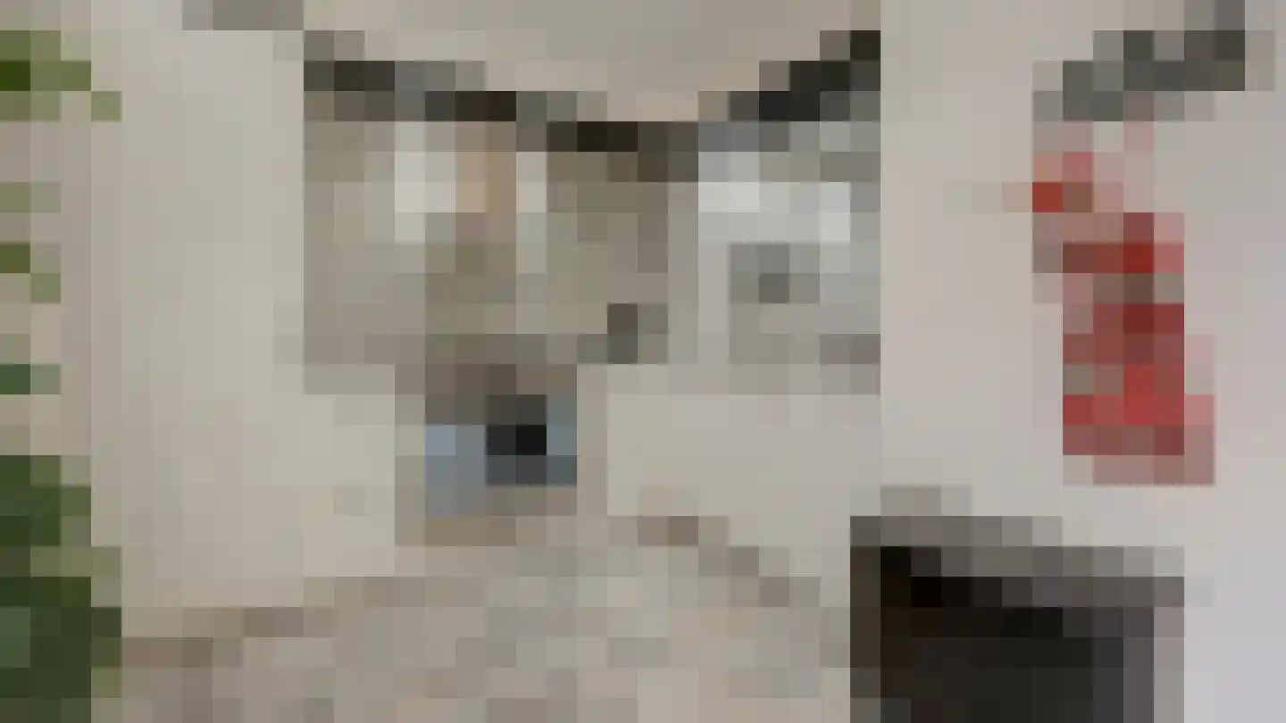 Beeklustlaan 6 Almelo thumbnail 15