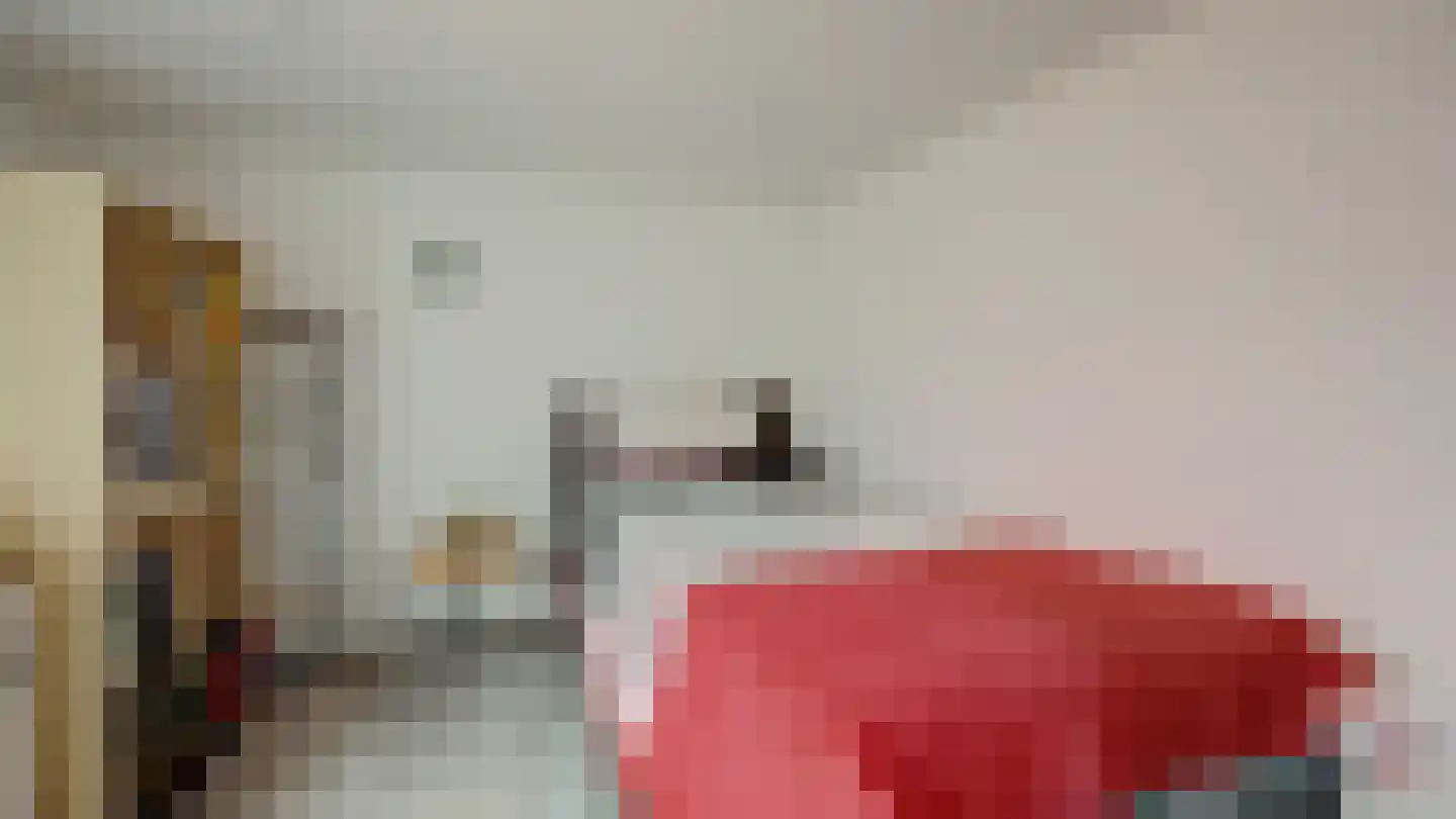 Beeklustlaan 6 Almelo thumbnail 17