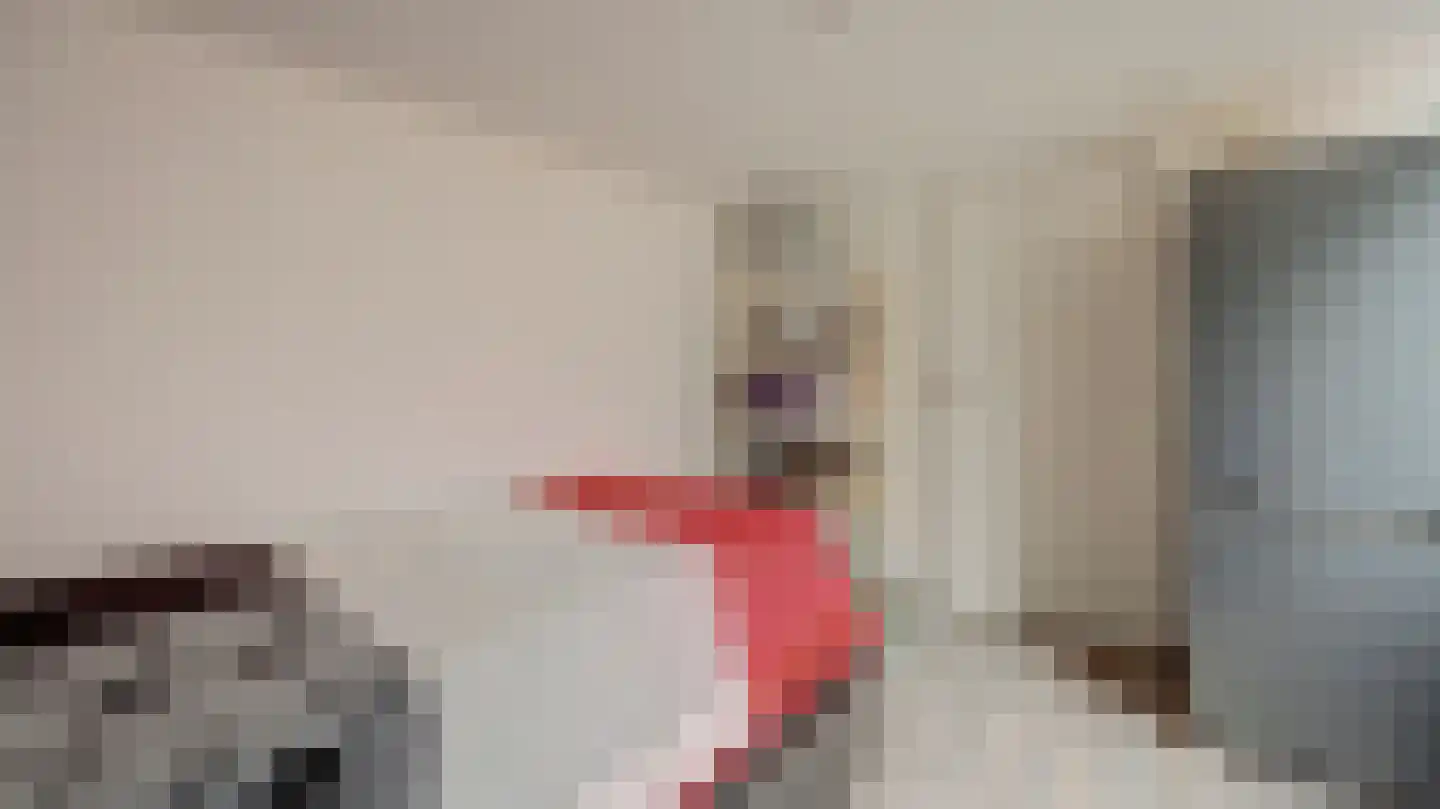 Beeklustlaan 6 Almelo thumbnail 18