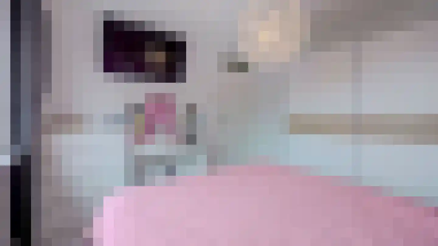 Beeklustlaan 6 Almelo thumbnail 22