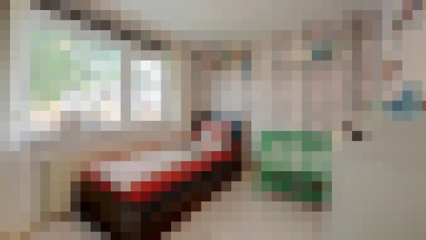 Beeklustlaan 6 Almelo thumbnail 24