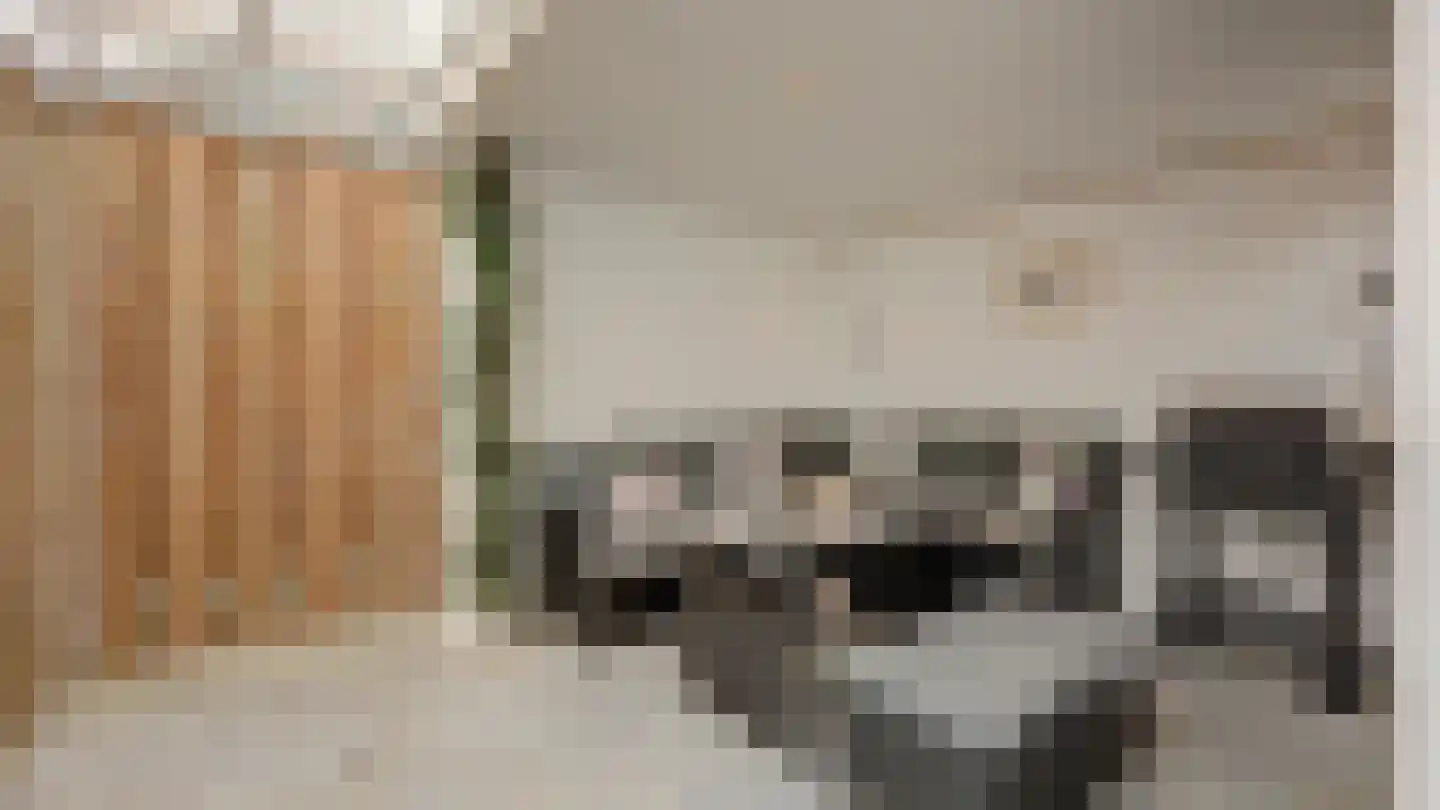 Beeklustlaan 6 Almelo thumbnail 31