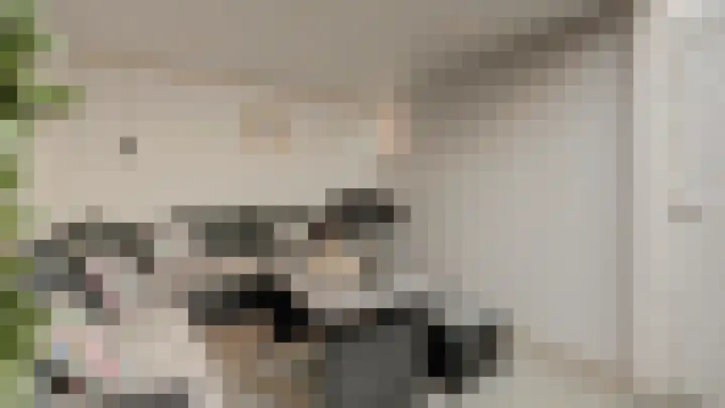 Beeklustlaan 6 Almelo thumbnail 34