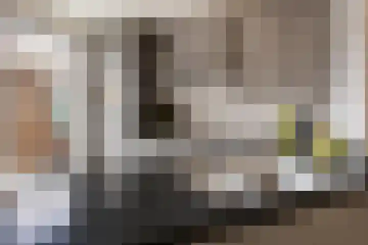 Beeklustweg 101 Apeldoorn thumbnail 6