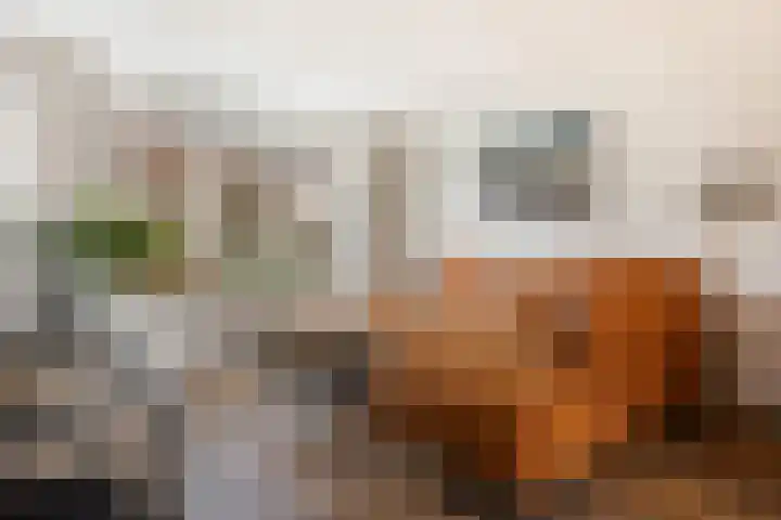 Beeklustweg 101 Apeldoorn thumbnail 8